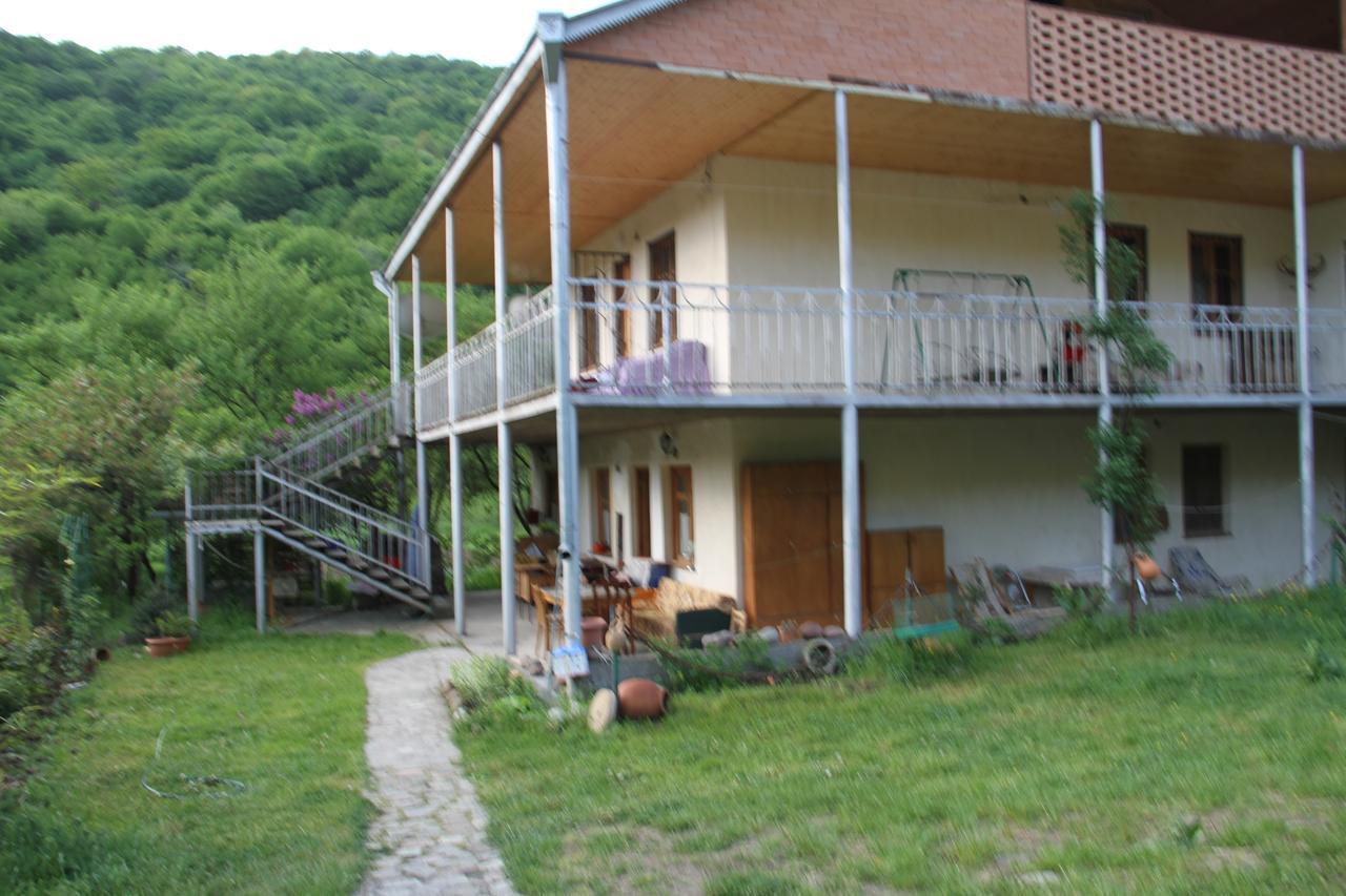 Marine'S Guest House Ananuri Exteriér fotografie