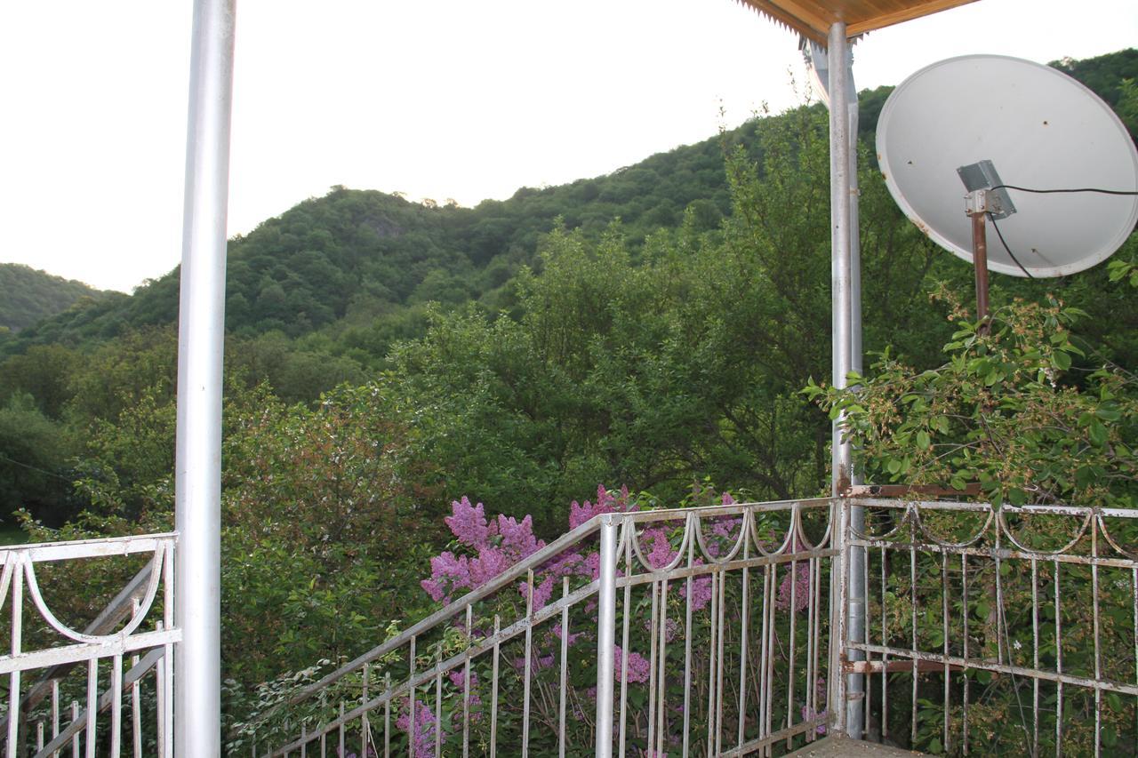 Marine'S Guest House Ananuri Exteriér fotografie